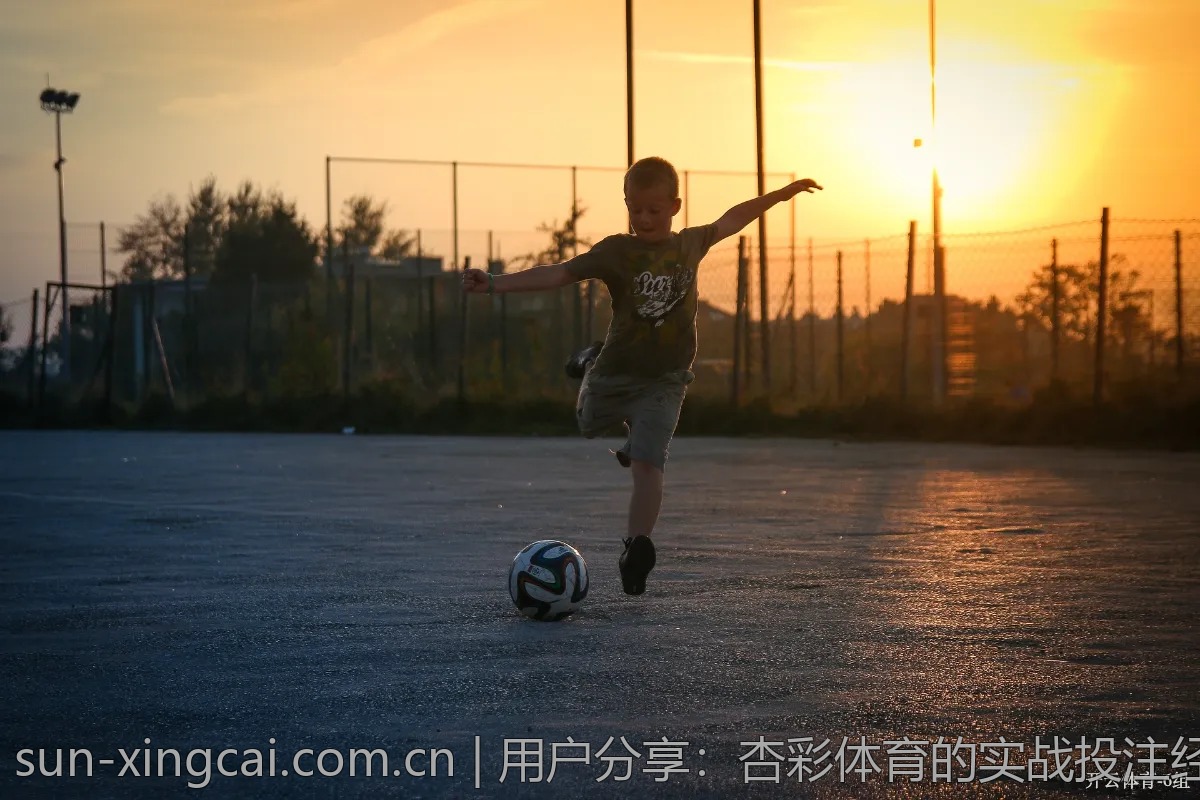 用户分享：杏彩体育的实战投注经验