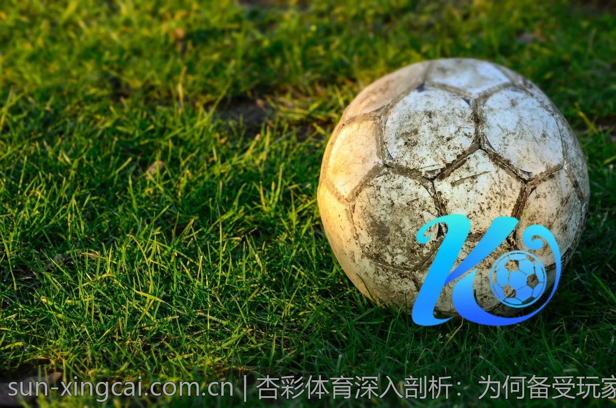 杏彩体育深入剖析：为何备受玩家青睐？