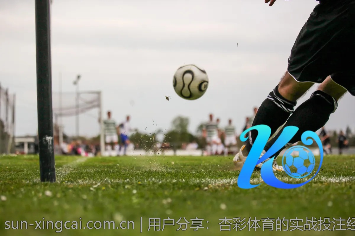 用户分享：杏彩体育的实战投注经验